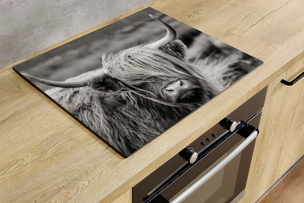 Les protections pour plaque à induction, tout ce qu’il faut savoir ...