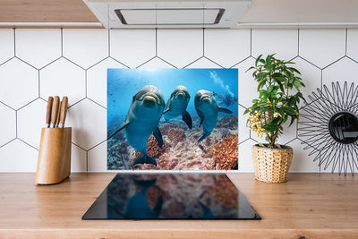 Fond de hotte Trois Dauphins