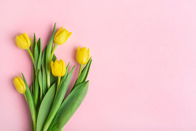 Protège-plaque à induction - Tulipe jaune