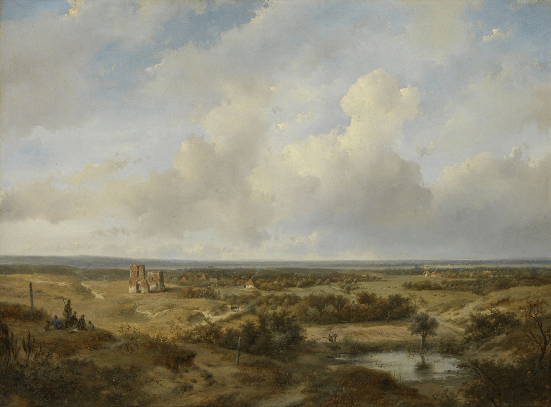 Protège-plaque à induction - Vue de Haarlem avec des champs de blanchiment