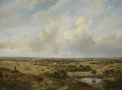 Protège-plaque à induction - Vue de Haarlem avec des champs de blanchiment