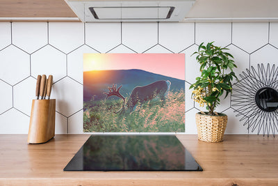 Fond de hotte Cerf dans la nature