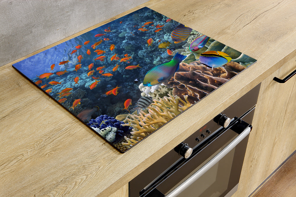Protège-plaque à induction - Poissons colorés