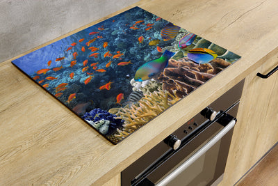 Protège-plaque à induction - Poissons colorés