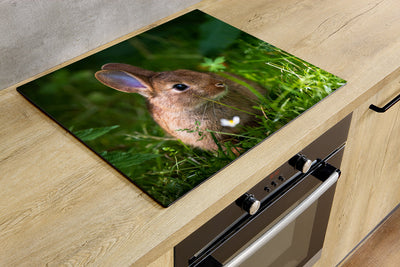 Protège-plaque à induction - Lapin