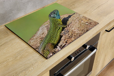 Protège-plaque à induction - Lézard