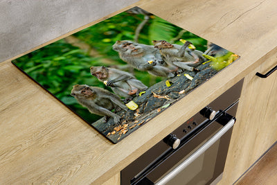 Protège-plaque à induction - Macaques rhéesus