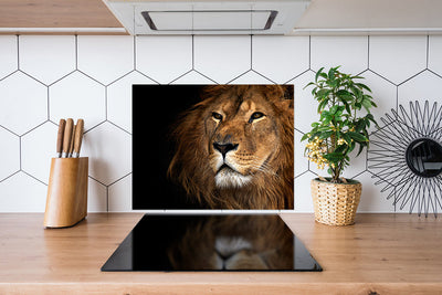 Fond de hotte Lion en gros plan