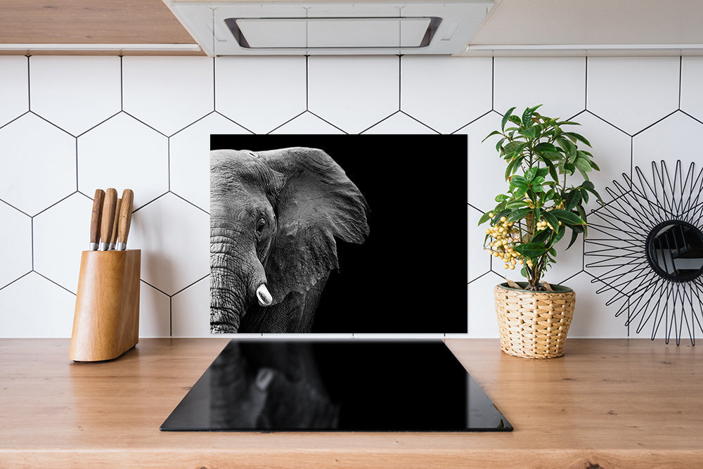 Fond de hotte Éléphant