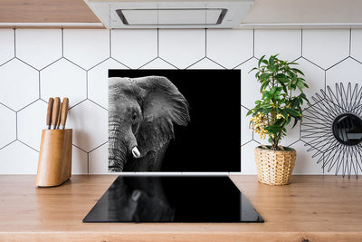 Fond de hotte Éléphant