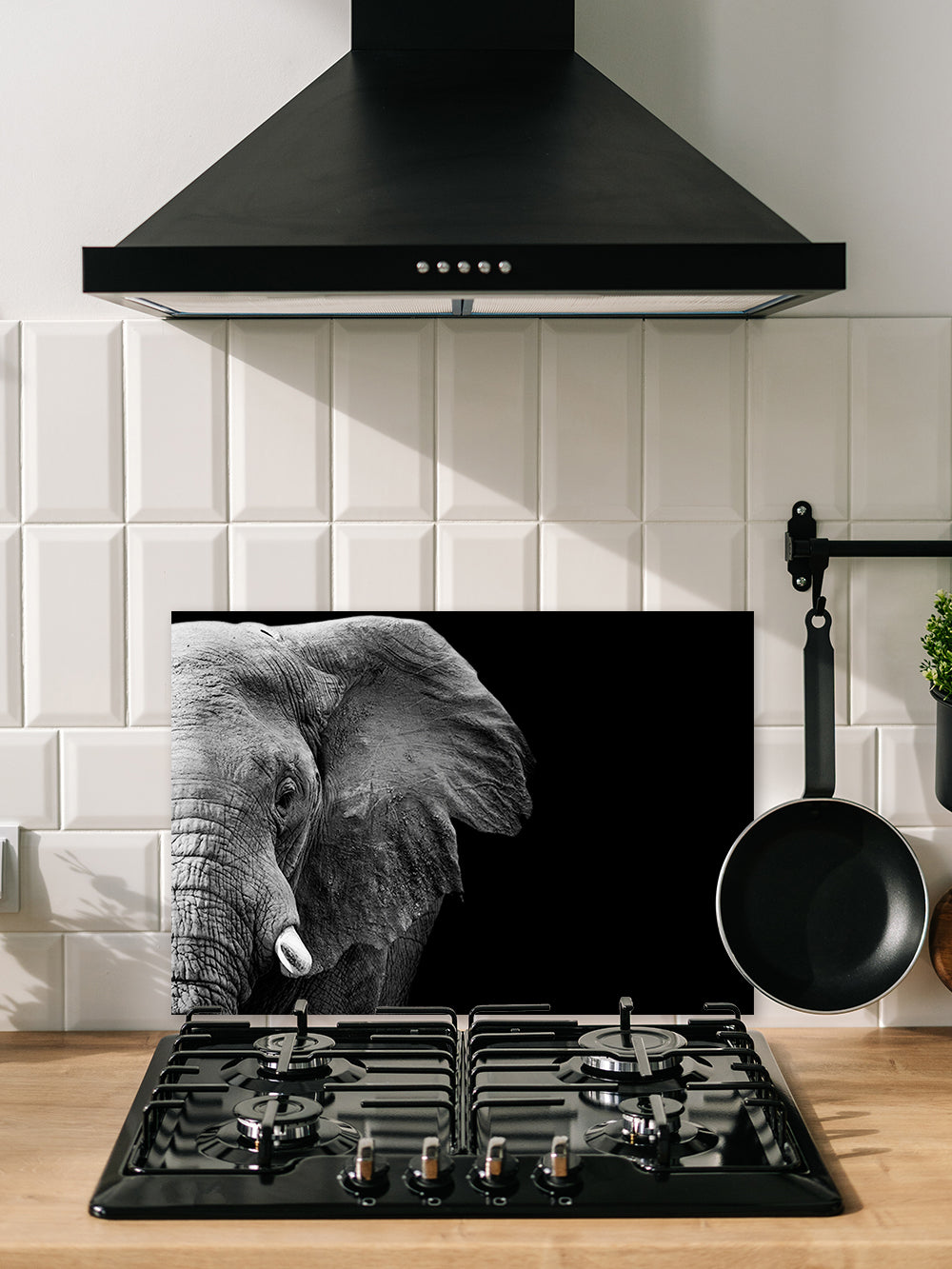 Fond de hotte Éléphant