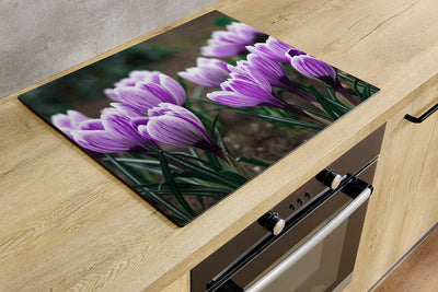 Protège-plaque à induction - Crocus à safran