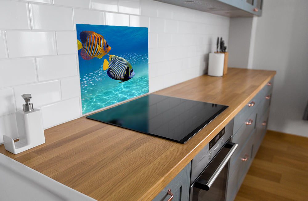 Fond de hotte Poisson tropical