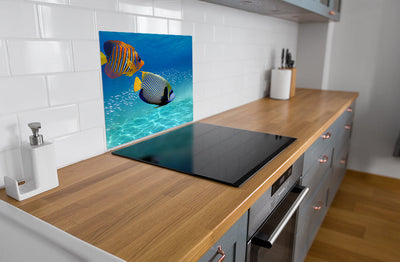 Fond de hotte Poisson tropical