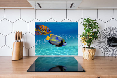 Fond de hotte Poisson tropical
