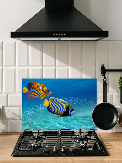 Fond de hotte Poisson tropical