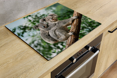 Protège-plaque à induction - Deux koalas